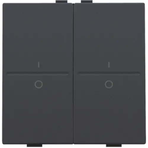 Niko 122-00008 tweevoudige toets opdruk 1-0 voor busdrukknop anthracite coated