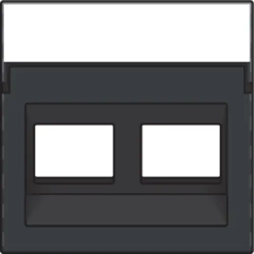 Niko 122-65400 centraalplaat 2-voudig tbv RJ draagring schuin met tekstveld anthracite coated