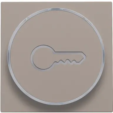 Niko 123-64009 Enkele drukker Schakelaar/dimm