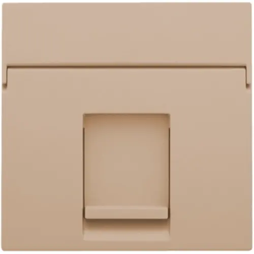 Niko 157-65100 centraalplaat 1-voudig vlak tbv RJ draagring champagne coated