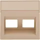 Niko 157-65400 centraalplaat 2-voudig tbv RJ draagring schuin met tekstveld champagne coated