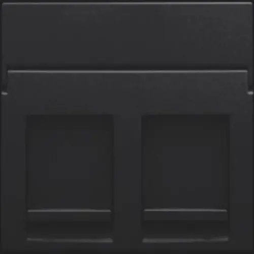 Niko 161-65200 centraalplaat 2-voudig vlak tbv RJ draagring black coated