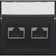Niko 161-65400 centraalplaat 2-voudig tbv RJ draagring schuin met tekstveld black coated