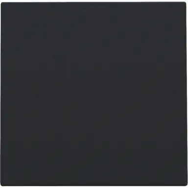Niko 161-76001 blindplaat met kabeluitvoer zonder draagring black coated