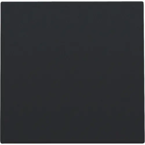 Niko 161-76001 blindplaat met kabeluitvoer black coated