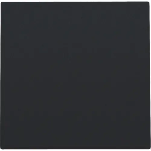 Niko 161-76001 blindplaat met kabeluitvoer zonder draagring black coated