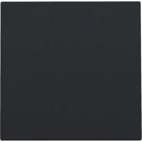 Niko 161-76901 blindplaat zonder draagring black coated