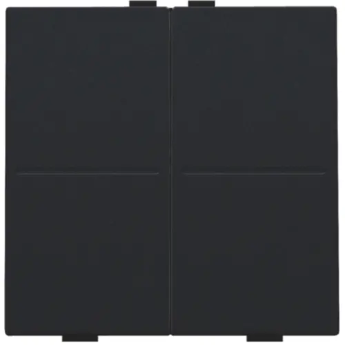 Niko 161-00007 tweevoudige toets voor draadloze schakelaar black coated