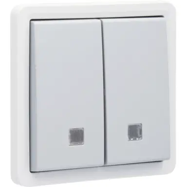 Niko 700-35105 Hydro verlichtbare pulsdrukker 2-voudig met controlevenster 2 maak- of verbreekcontacten insteekklemmen grijs