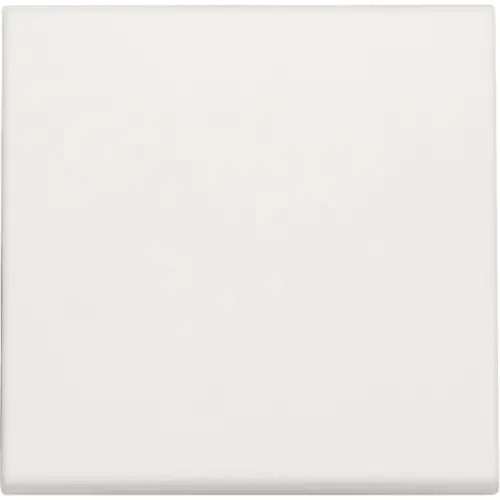 Niko 101-31002 dimmerknop 1-voudig tastdimmer white