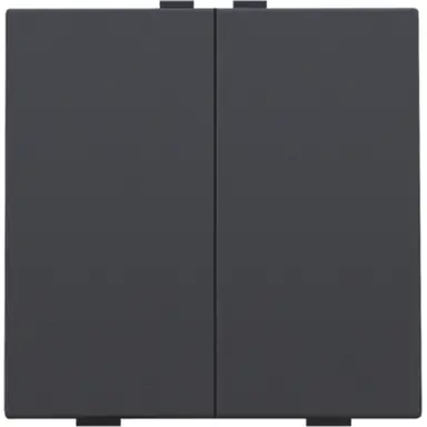 Niko 122-51002 drukknop 2-voudig voor Niko Home Control anthracite