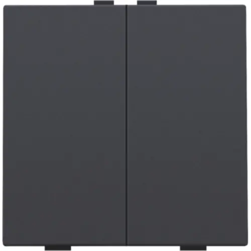 Niko 122-51002 drukknop 2-voudig voor Niko Home Control anthracite coated