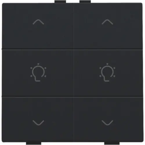 Niko 161-51046 dimbediening 2-voudig met symbool voor Niko Home Control black coated