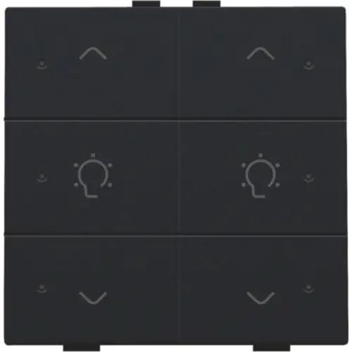 Niko 161-52046 dimbediening 2-voudig met LED en symbool voor Niko Home Control black coated