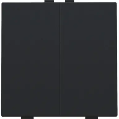 Niko 161-51002 drukknop 2-voudig voor Niko Home Control black coated