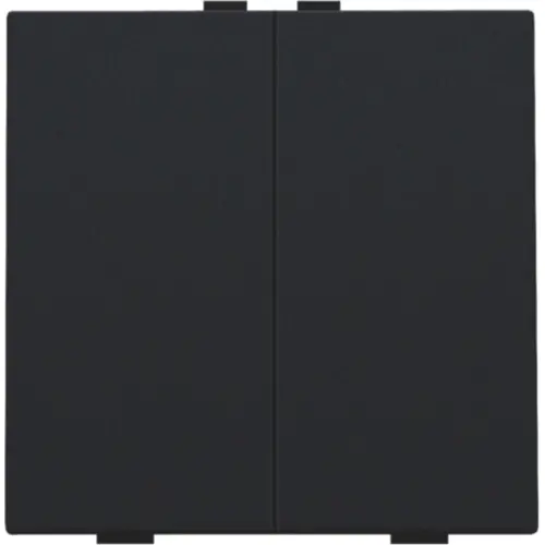 Niko 161-51002 drukknop 2-voudig voor Niko Home Control black coated
