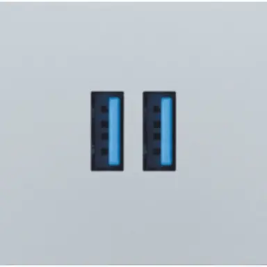 Niko 121-68001 centraalplaat USB sterling coated