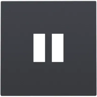 Niko 122-68001 centraalplaat USB anthracite coated