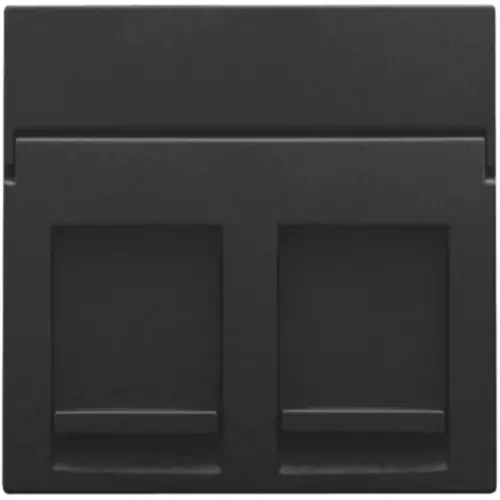 Niko 200-65200 centraalplaat 2-voudig vlak tbv RJ draagring piano black coated