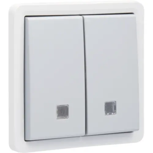 Niko 700-35100 Hydro verlichtbare pulsdrukker 2-voudig met controlevenster 2 maak- of verbreekcontacten schroefklemmen grijs