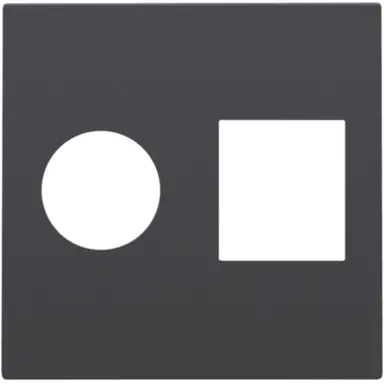 Niko 122-65702 centraalplaat coax en RJ45 anthracite coated