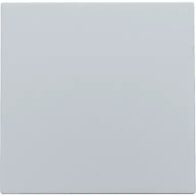 Niko 121-76001 blindplaat met kabeluitvoer zonder draagring sterling coated