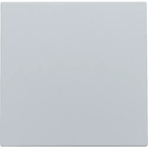 Niko 121-76001 blindplaat met kabeluitvoer zonder draagring sterling coated