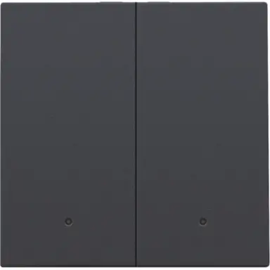 Niko 122-32004 afwerkingsset met lens voor dubbele elektronische schakelaar anthracite coated