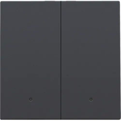 Niko 122-32004 afwerkingsset met lens voor dubbele elektronische schakelaar anthracite coated