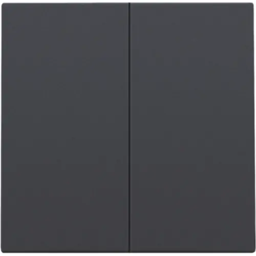 Niko 122-31004 afwerkingsset voor dubbele elektronische schakelaar anthracite coated