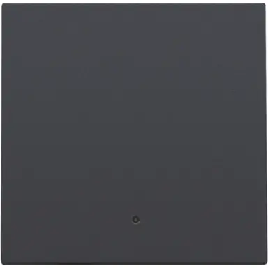 Niko 122-32002 afwerkingsset met lens voor elektronische schakelaar/dimmer anthracite coated