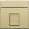 Niko 221-65100 centraalplaat 1-voudig vlak tbv RJ draagring gold coated