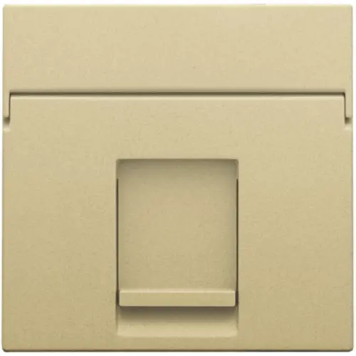 Niko 221-65100 centraalplaat 1-voudig vlak tbv RJ draagring gold coated