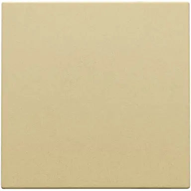 Niko 221-76901 blindplaat zonder draagring gold coated