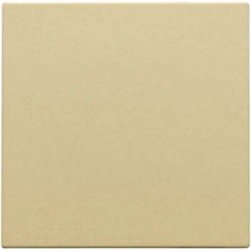 Niko 221-76901 blindplaat zonder draagring gold coated