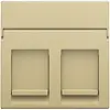 Niko 221-65200 centraalplaat 2-voudig vlak tbv RJ draagring gold coated