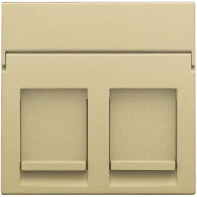 Niko 221-65200 centraalplaat 2-voudig vlak tbv RJ draagring gold coated