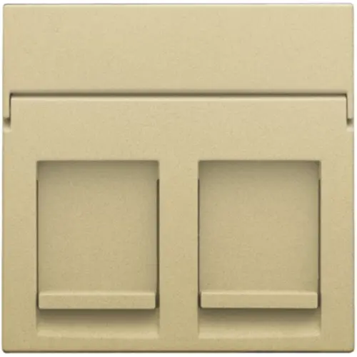 Niko 221-65200 centraalplaat 2-voudig vlak tbv RJ draagring gold coated