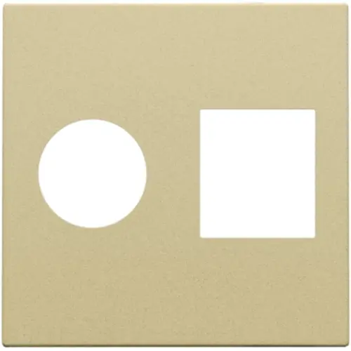 Niko 221-65702 centraalplaat 1-voudig coax alu gold coated (221-69101)