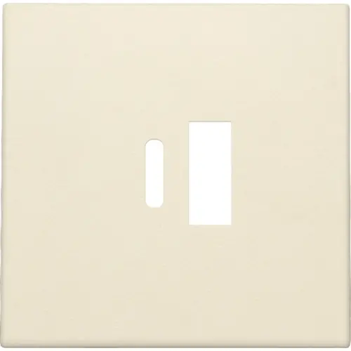 Niko 100-68002 afwerkingsset voor dubbele smart USB-A en USB-C lader cream
