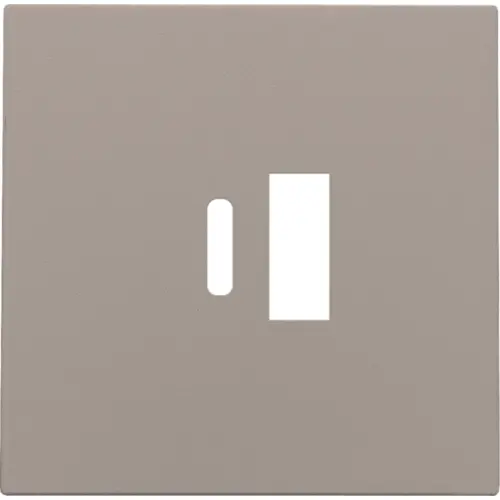 Niko 123-68002 afwerkingsset voor dubbele smart USB-A en USB-C lader bronze coated