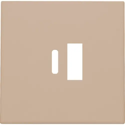 Niko 157-68002 afwerkingsset voor dubbele smart USB-A en USB-C lader champagne coated