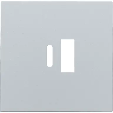 Niko 121-68002 centraalplaat voor dubbele smart USB-A en USB-C lader sterling coated