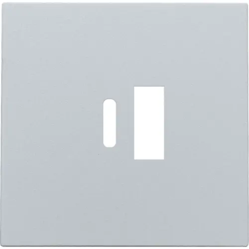 Niko 121-68002 centraalplaat voor dubbele smart USB-A en USB-C lader sterling coated
