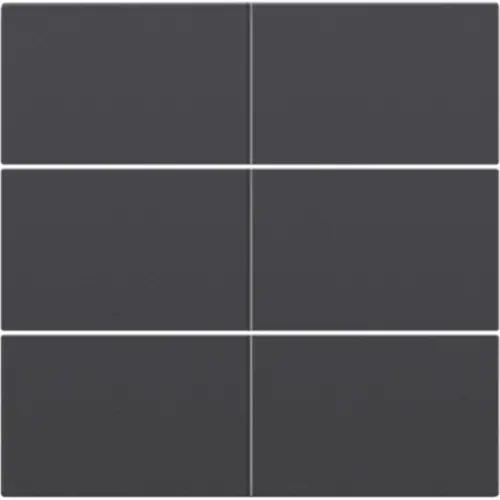 Niko 122-60050 afwerkingsset voor 6-voudige potentiaalvrije drukknop 24 V anthracite coated