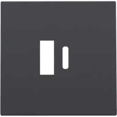 Niko 122-68002 afwerkingsset voor dubbele smart USB-A en USB-C lader anthracite coated