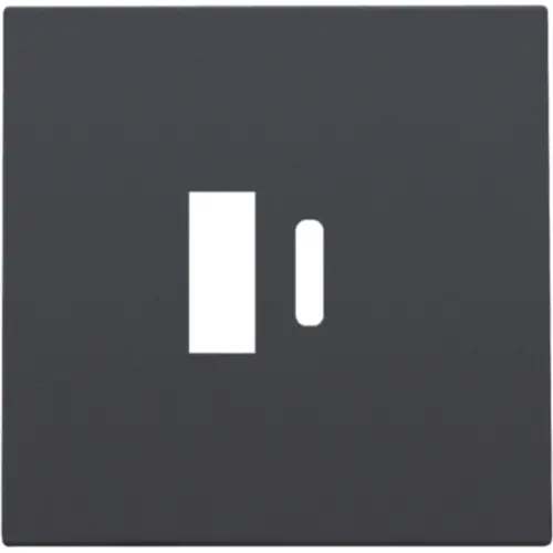 Niko 122-68002 afwerkingsset voor dubbele smart USB-A en USB-C lader anthracite coated
