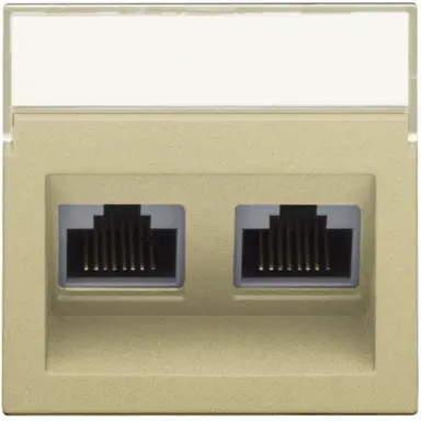 Niko 221-65400 centraalplaat 2-voudig tbv RJ draagring schuin met tekstveld gold coated