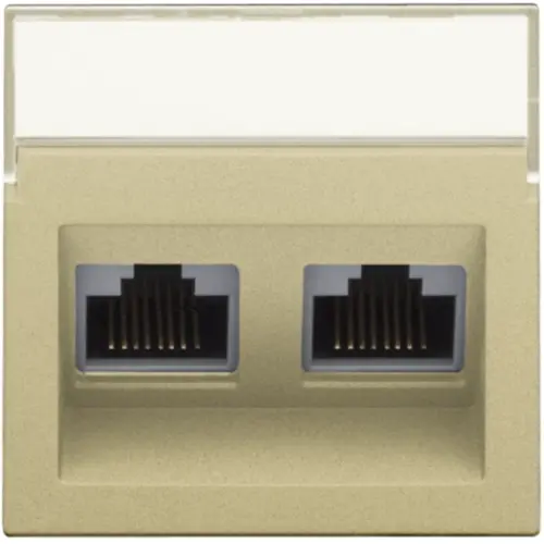 Niko 221-65400 centraalplaat 2-voudig tbv RJ draagring schuin met tekstveld gold coated