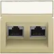 Niko 221-65400 centraalplaat 2-voudig tbv RJ draagring schuin met tekstveld gold coated